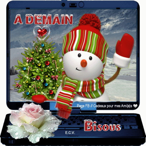 FR0000038242 LBIRD
