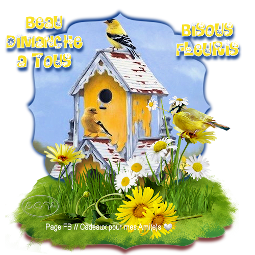 Bon Dimanche à tous !!!