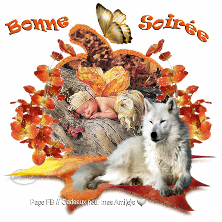 Résultat de recherche d'images pour "gifs automne bonne soirée"